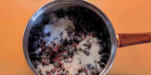 16 Recepata džema od orlovih noktiju